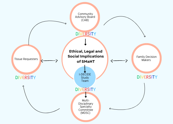 infographic depicting key stakeholder group engagement and how the SMaHT 360 model is operationalized